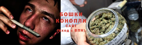 гидра Володарск