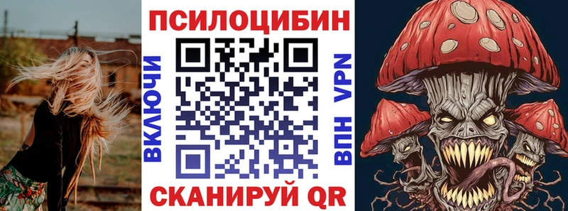 где можно купить наркотик Галич ссылка на мегу маркетплейс Галлюциногенные грибы Cubensis